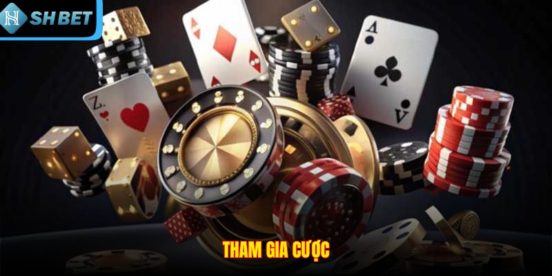 Tham gia cược